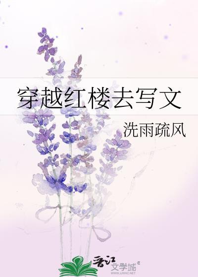 穿越红楼之写文