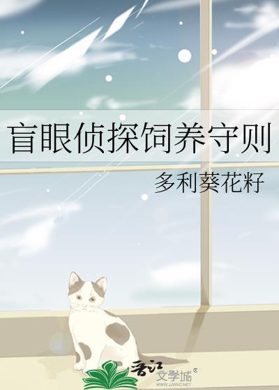 盲探