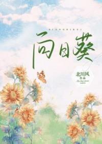 向日葵1月22日盘中涨幅达5%