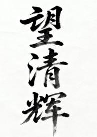 望清辉(女尊np)- 云出岫
