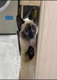 慢慢喜欢你书包网