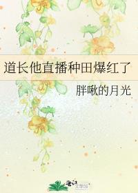 道长他直播种田爆红了作者胖啾的月光