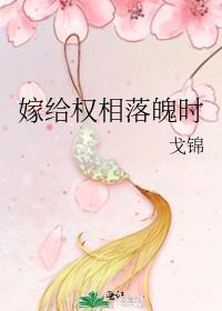 嫁给首辅落魄时番外