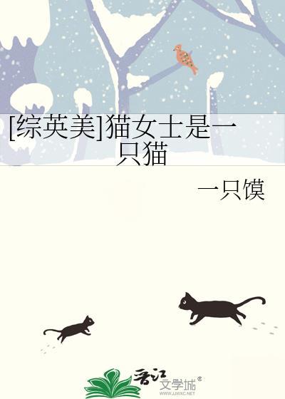 猫女士是什么动画片
