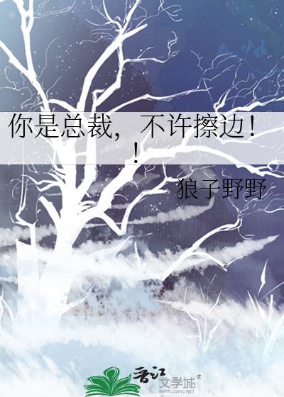 你是总裁不许擦边免费阅读