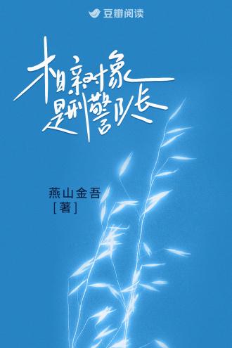 相亲对象是刑警队长宋魅江鹭免费