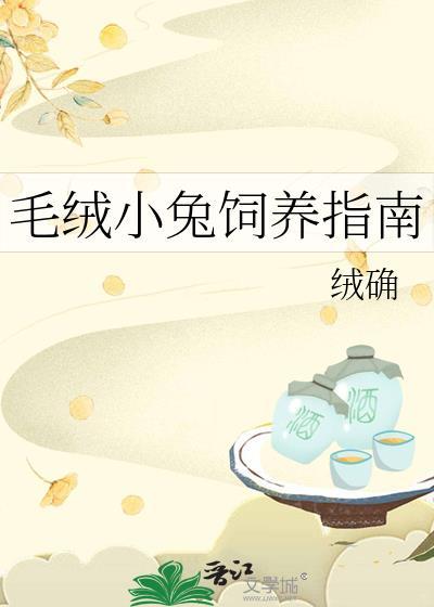 毛绒小兔饲养指南TXT书包网