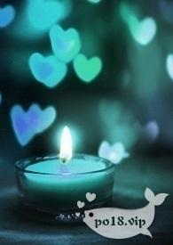 世界第一纯爱动漫