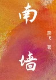 南墙np