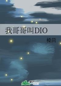 我哥哥叫dio免费阅读