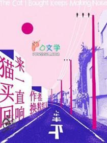 刚买的猫一直叫