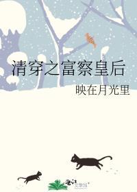 清穿富察皇后儿子