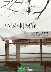 小厨神养成记