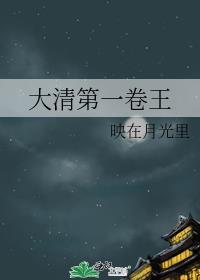 大清第一王妃全文阅读