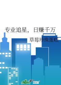 追星怎么挣钱