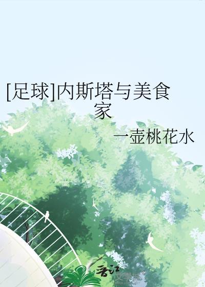 足球内斯塔与美食家22
