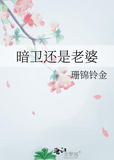 暗卫还是老婆晋江