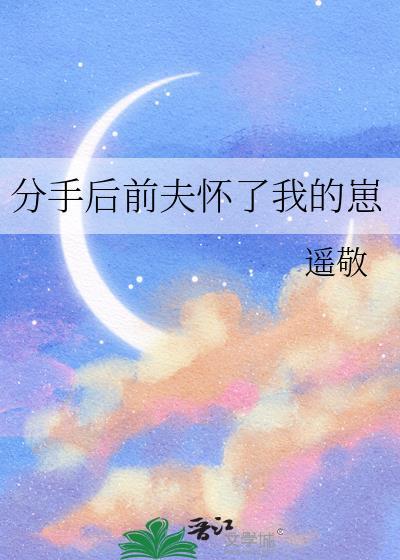 前夫怀孕文