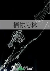 栖你为林百度