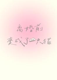 离婚前变成了一只猫全文免费阅读