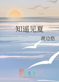 夏知遥 结局