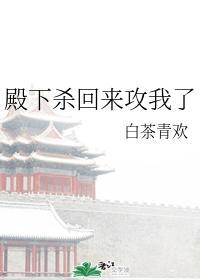 殿下杀回来攻我了白茶清欢