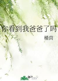 爸爸你看见了吗搜狐