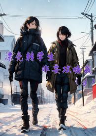 漂亮转学生非要攻略我txt