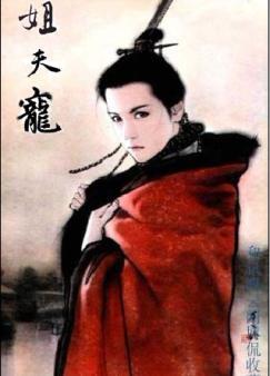姐夫宠免费