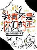 我真的不是王子