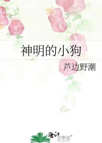 神明的宠儿