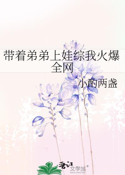 带着弟弟上娃综我火爆全网免费阅读