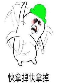 满朝文武皆绿你全文免费阅读