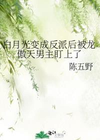 变成白月光后和反派