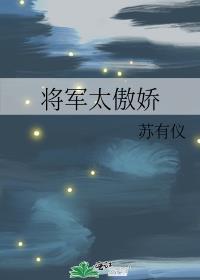 将军太傲娇苏有仪txt