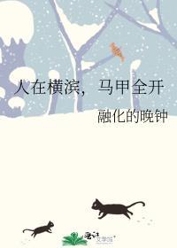 马甲全开 融化的晚钟