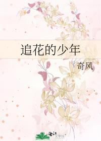 追花的少年by奇风免费阅读