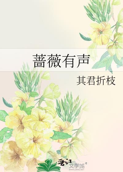 蔷薇有声其君折枝免费