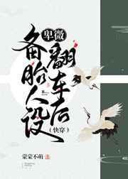 卑微备胎人设崩了txt