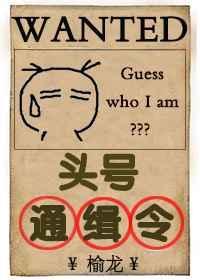 头号通缉令剧透