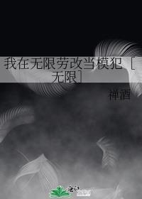 我在无限当司机