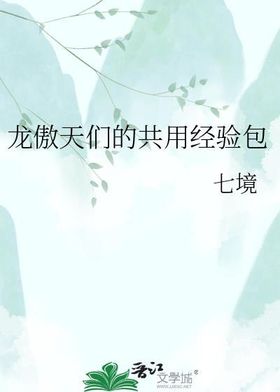 龙傲天们的共用经验包讲的什么