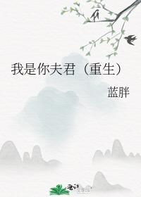 我是你夫君(重生)蓝胖