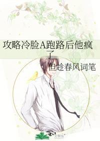 攻略冷面少帅全文阅读