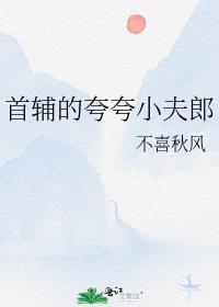 首辅的夸夸小夫郎罗平