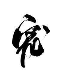 白月光失忆后成了我影卫晋江