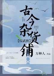 综武侠之古今杂货铺