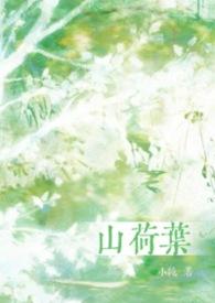 山荷叶花长什么样