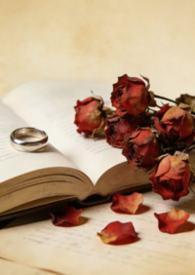 代价太大了是什么意思