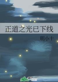 正道之光已下线TXT笔趣阁